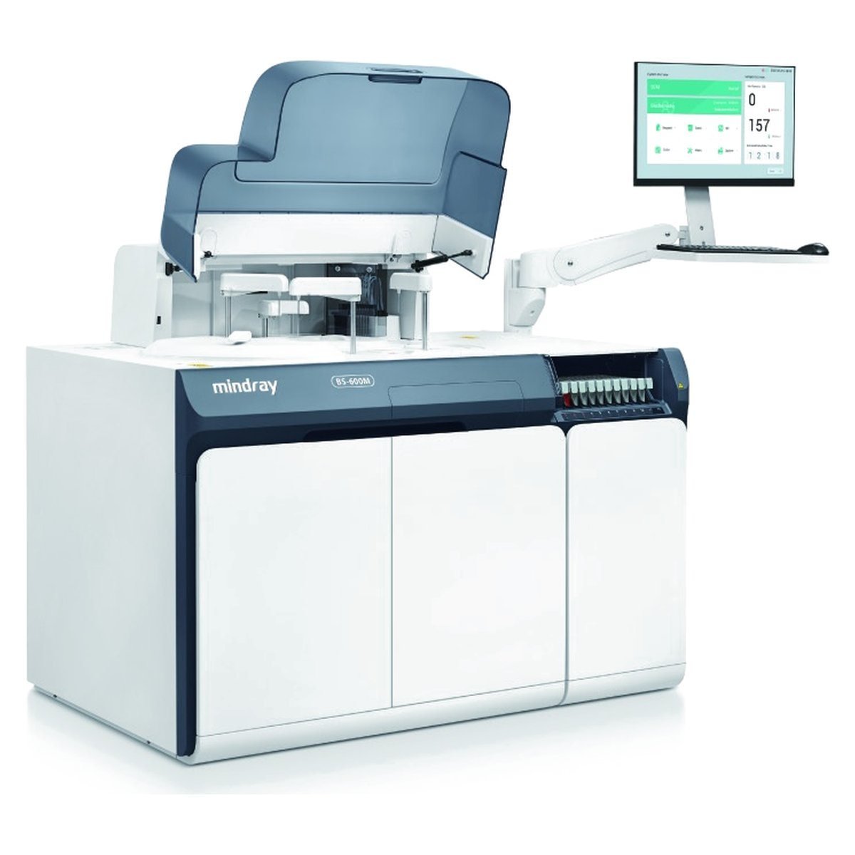 Analisador Bioquímico BS-600M